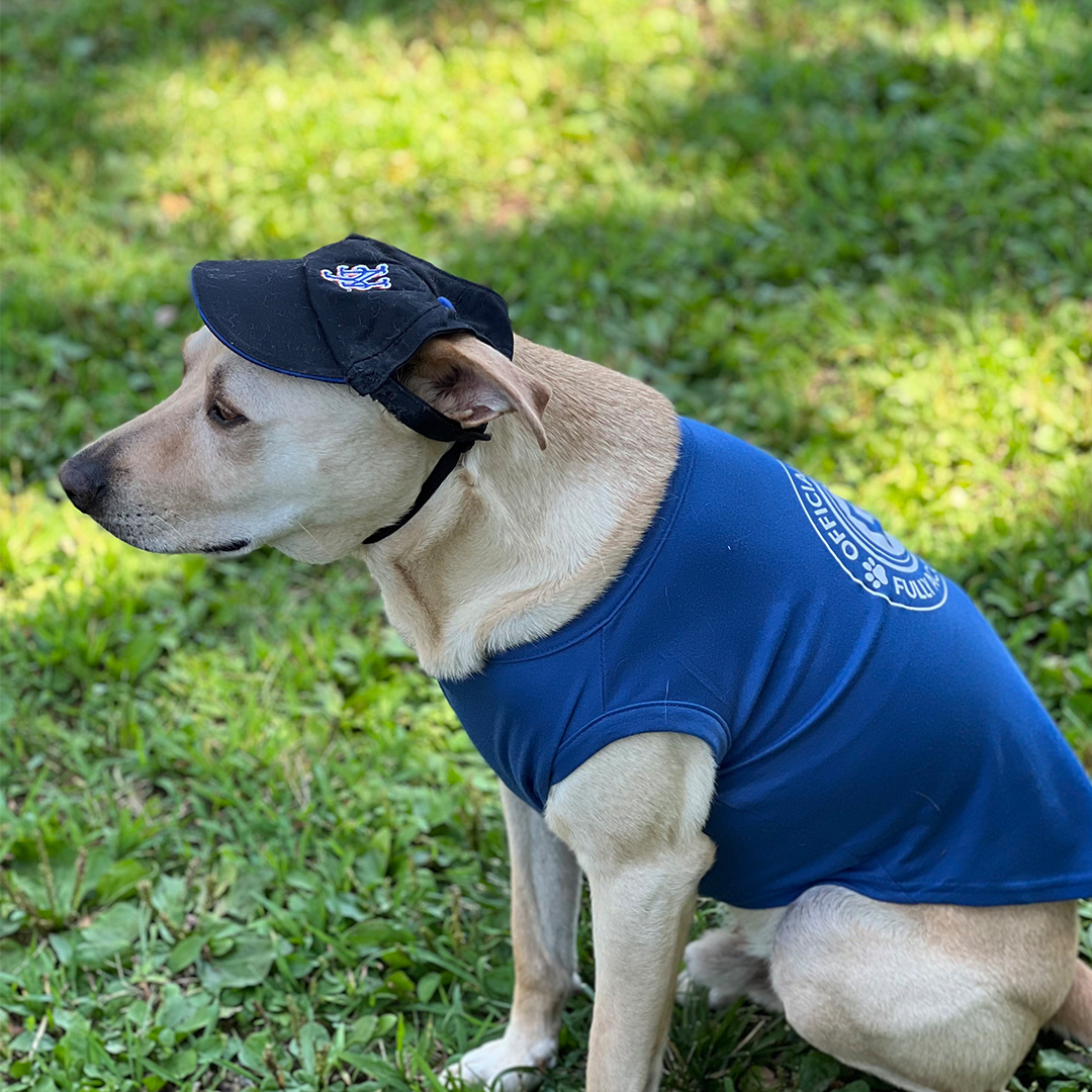 Dogst 2022 - Photo 14