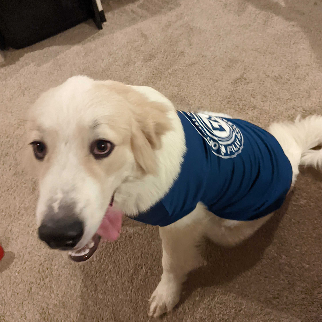 Dogst 2022 - Photo 15