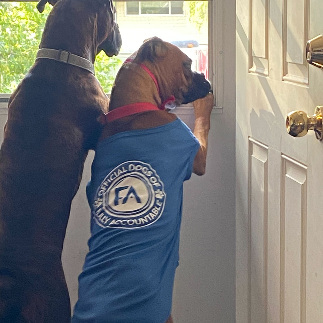 Dogst 2022 - Photo 27