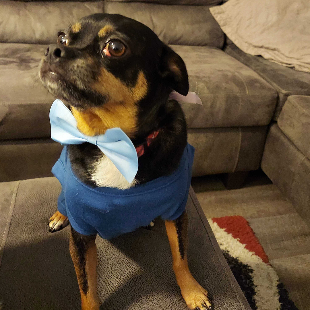 Dogst 2022 - Photo 29