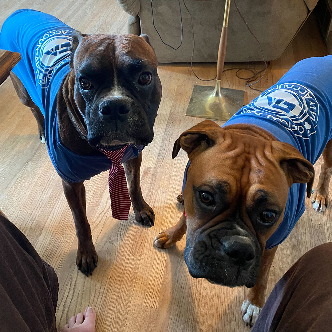 Dogst 2022 - Photo 31