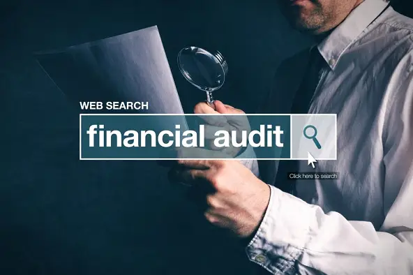 financial-audit.png Your Guide to a Successful Financial Audit